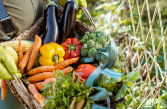 0f9767fd33f92489-1600-1600-f-80